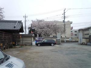 20110409S1.jpg