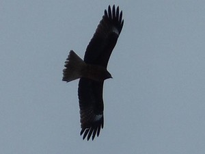 20120310_4.jpg