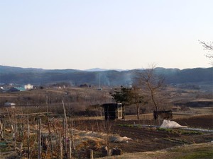 20120408_8.jpg