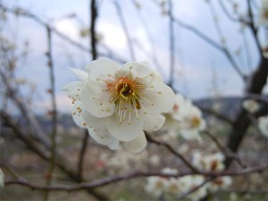 20120418_3.jpg