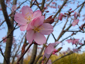 20120424_5.jpg