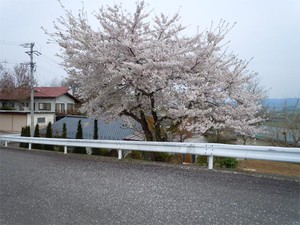 20120429_6.jpg