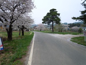 20120430_8.jpg