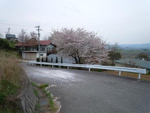 20120430_9.jpg