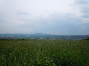 20120602_2.jpg