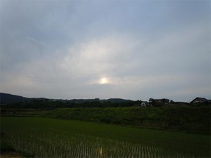 20120618_2.jpg