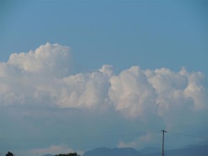 20120627_2.jpg