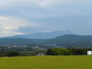 20120818_3.jpg