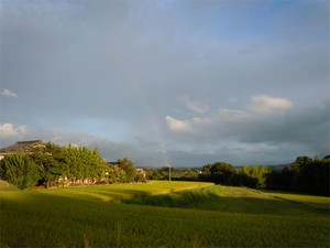 20120902_6.jpg