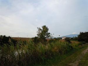 20120909_12.jpg