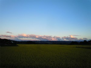 20120917_3.jpg