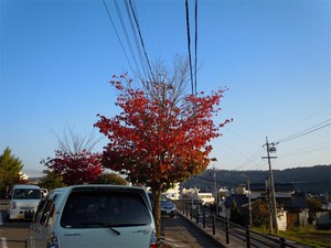 20121016_3.jpg