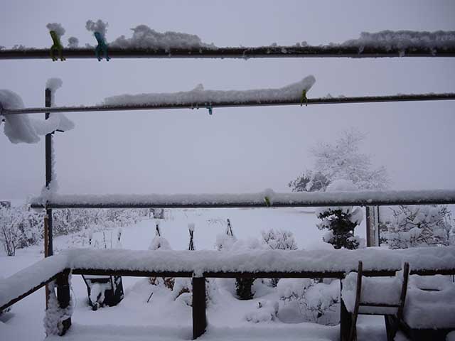 積雪とハンドルカバー到着