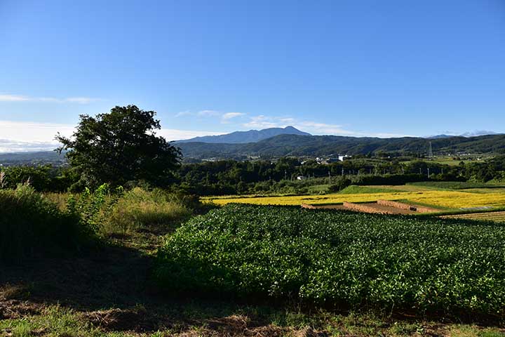 のど飴到着