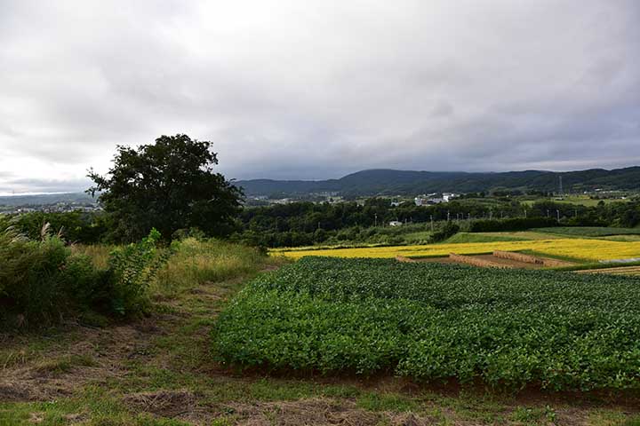 アルト タイヤパンク