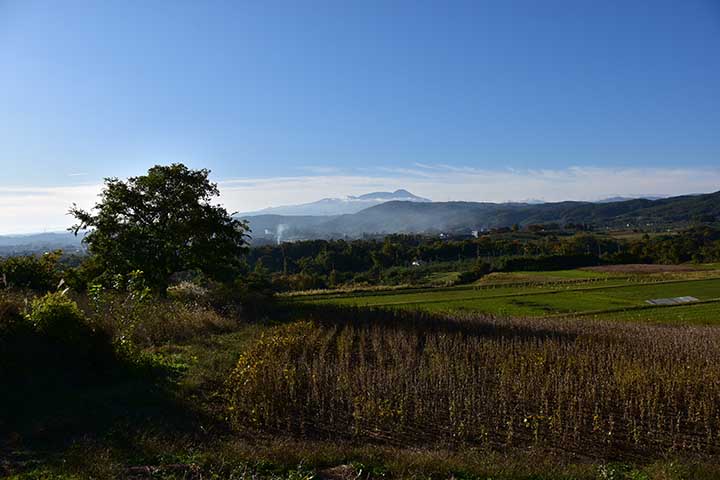 根本的な解決になっていない